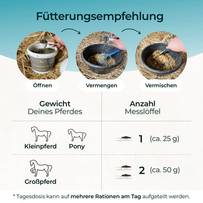 Pferdegold - MSM 1,5kg