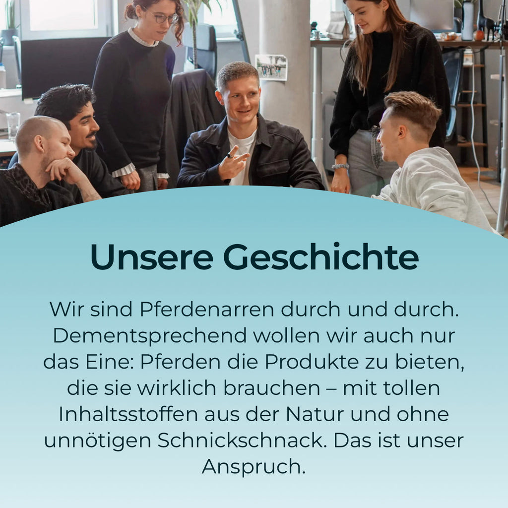 Pferdegold - MSM 1,5kg