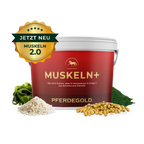 Pferdegold - Muskeln+ 2.0