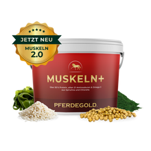 Pferdegold - Muskeln+ 2.0