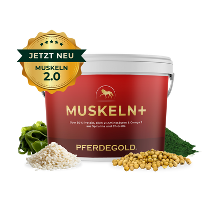Pferdegold - Muskeln+ 2.0