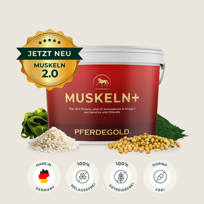 Pferdegold - Muskeln+ 2.0