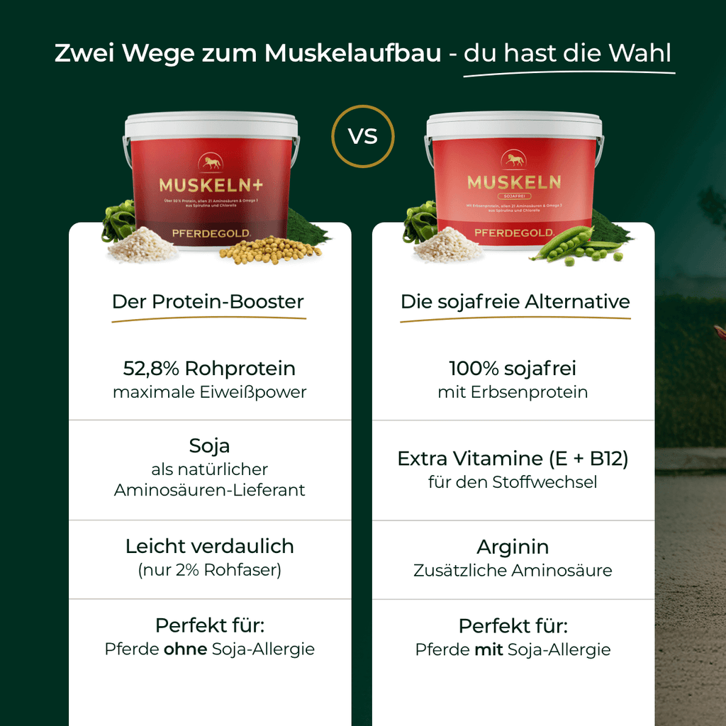 Pferdegold - Muskeln+ 2.0