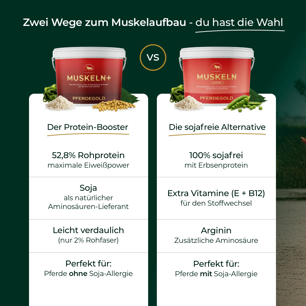 Pferdegold - Muskeln+ 2.0