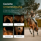 Pferdegold - Muskeln+ 2.0