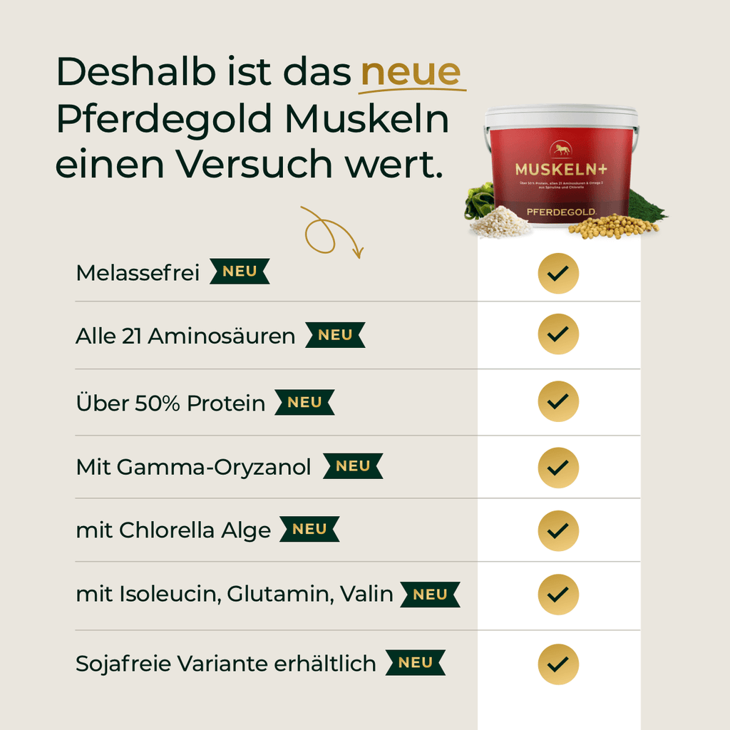 Pferdegold - Muskeln+ 2.0