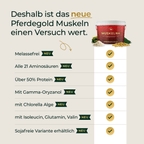 Pferdegold - Muskeln+ 2.0