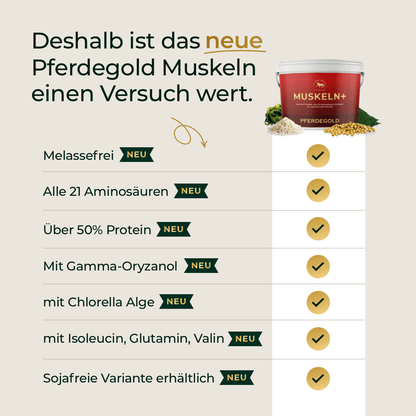 Pferdegold - Muskeln+ 2.0