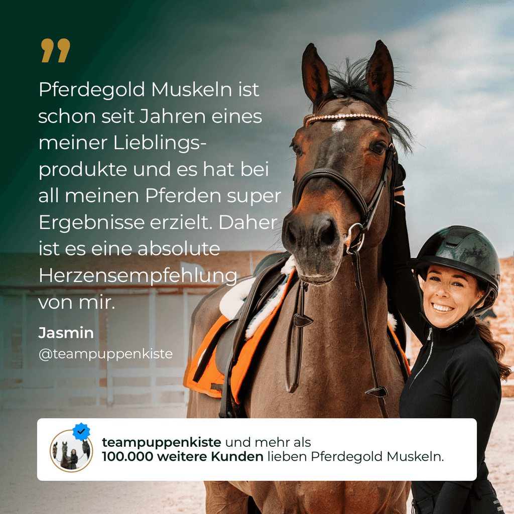Pferdegold - Muskeln+ 2.0