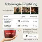 Pferdegold - Muskeln+ 2.0
