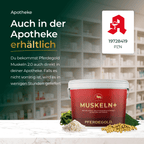 Pferdegold - Muskeln+ 2.0