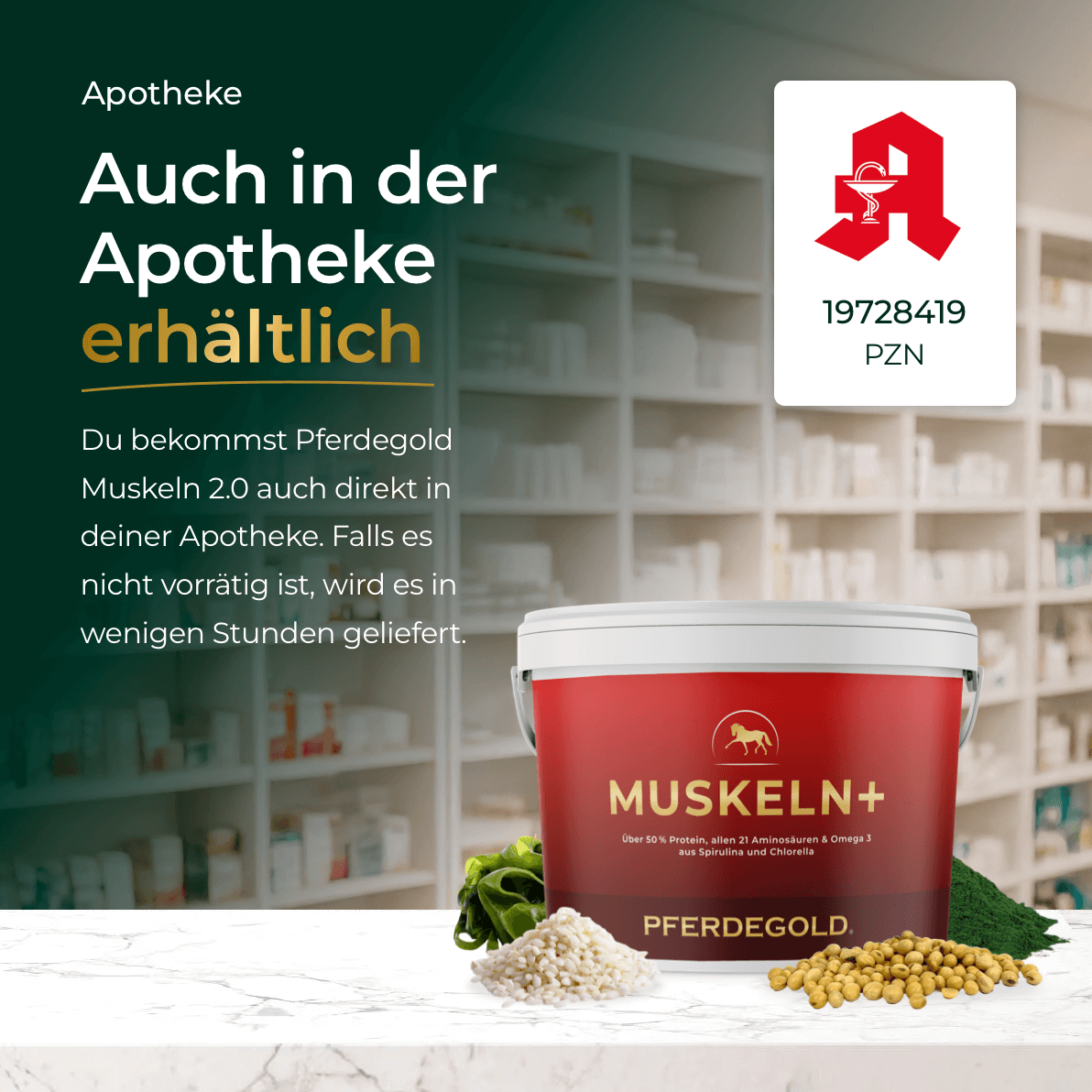 Pferdegold - Muskeln+ 2.0