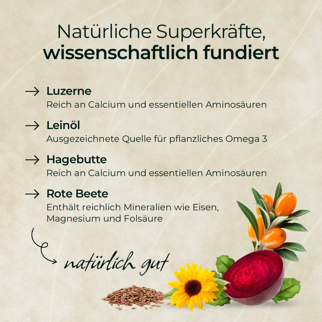 Pferdegold - Goldmüsli® Natur Pur