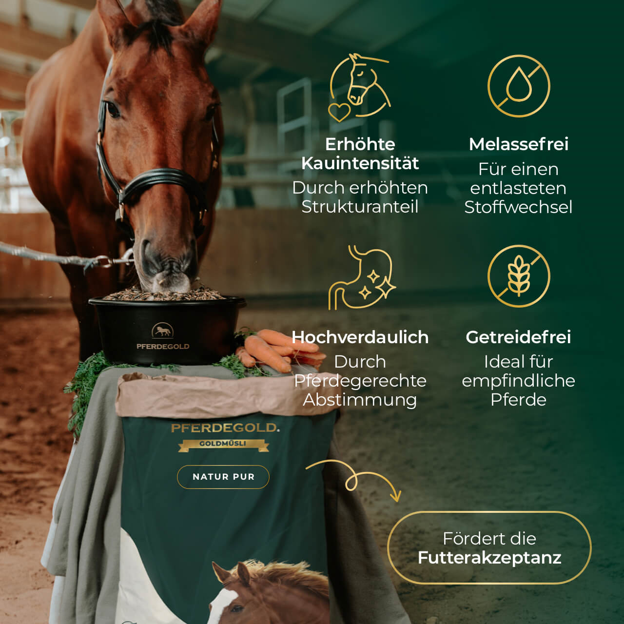 Pferdegold - Goldmüsli® Natur Pur