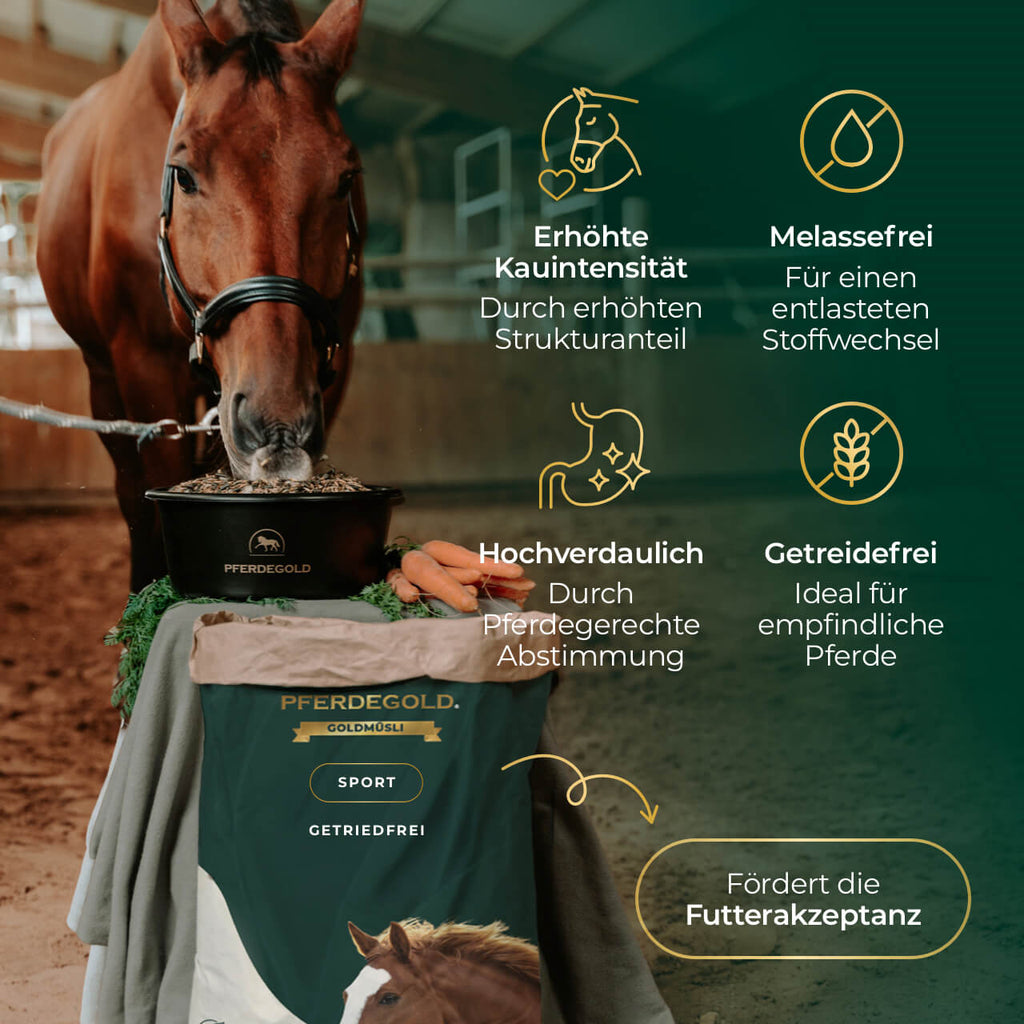 Pferdegold - Goldmüsli® Sport Getreidefrei