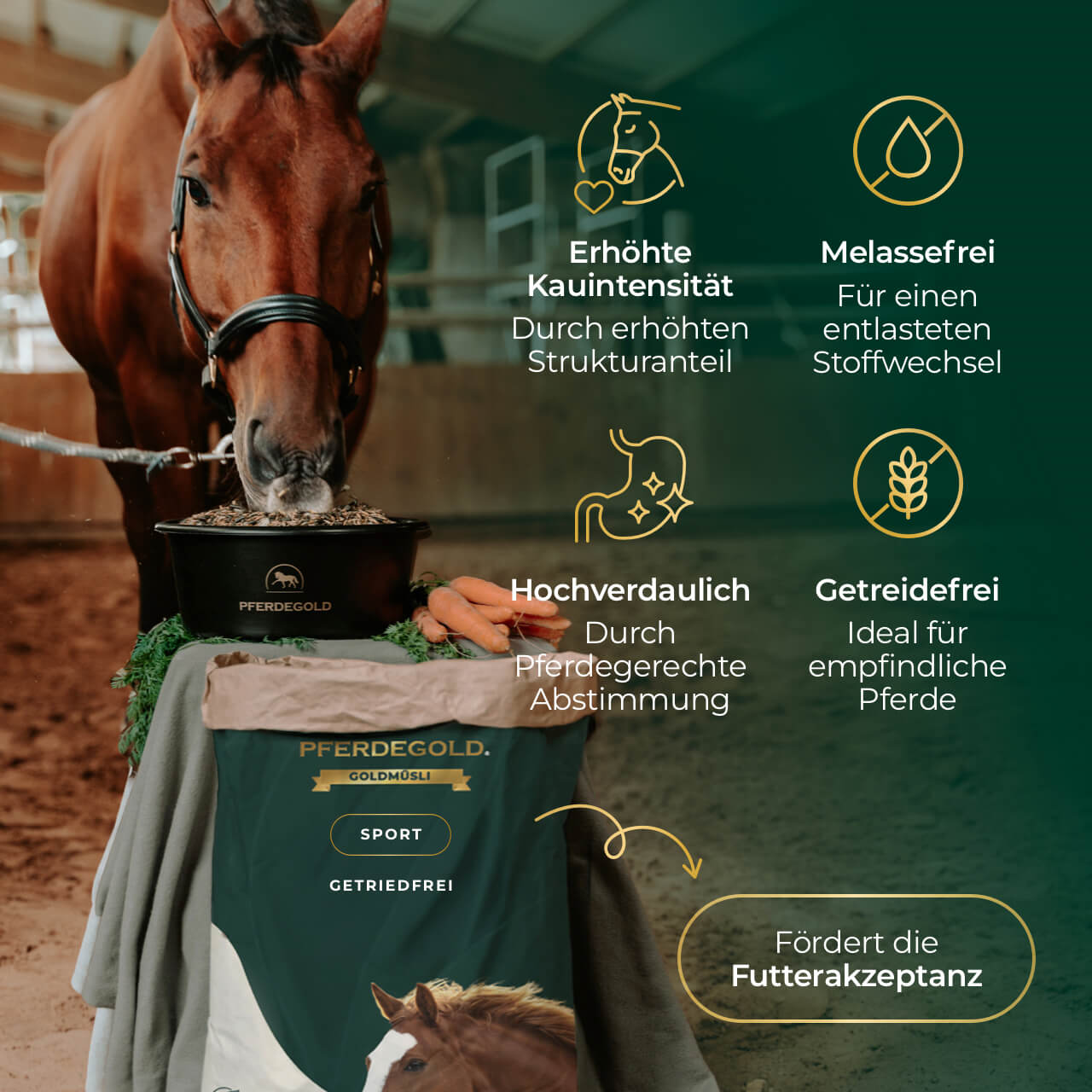 Pferdegold - Goldmüsli® Sport Getreidefrei