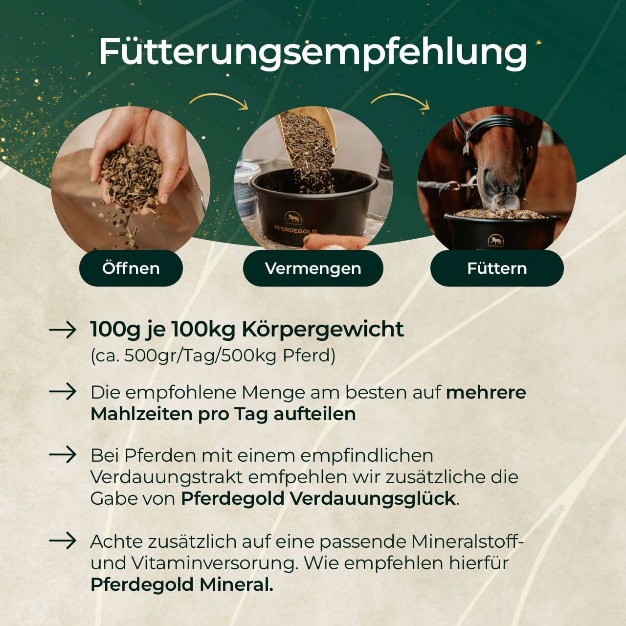 Pferdegold - Goldmüsli® Sport Getreidefrei