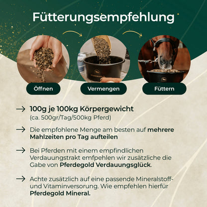 Pferdegold - Goldmüsli® Sport Getreidefrei