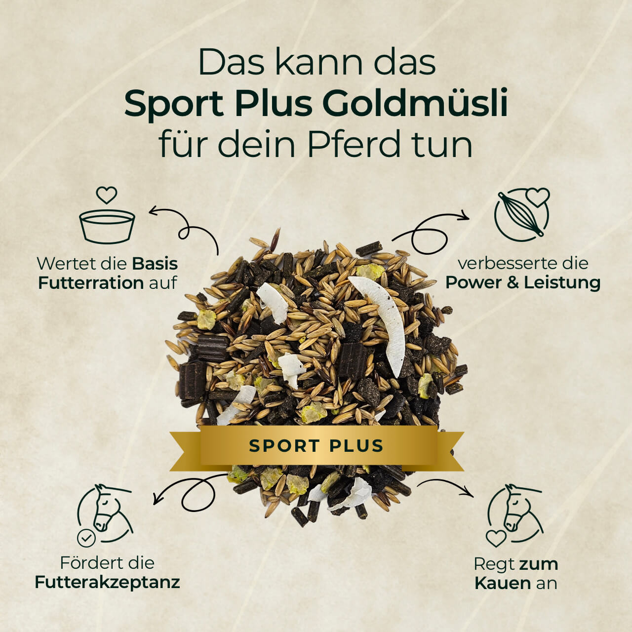 Pferdegold - Goldmüsli® Sport Plus
