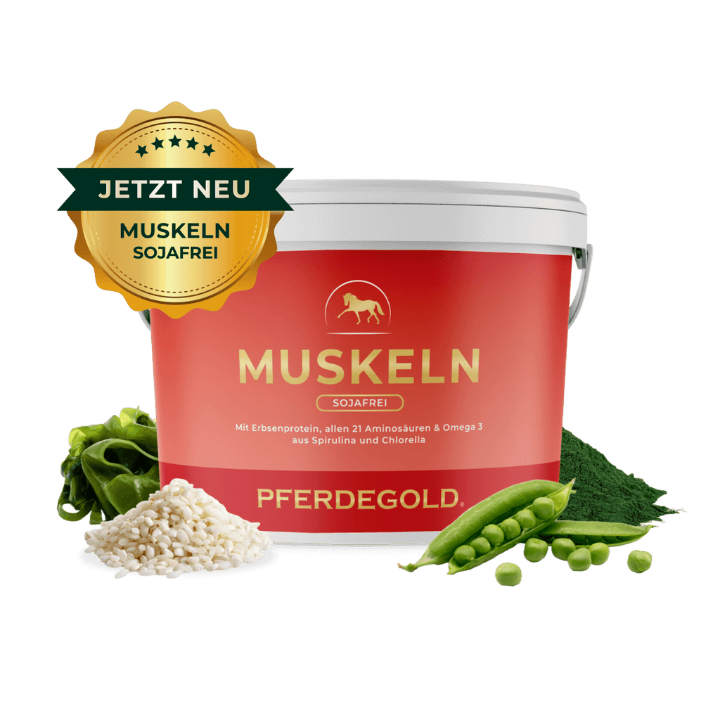 Pferdegold - Muskeln 2.0 Sojafrei