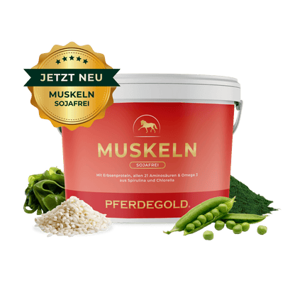 Pferdegold - Muskeln 2.0 Sojafrei
