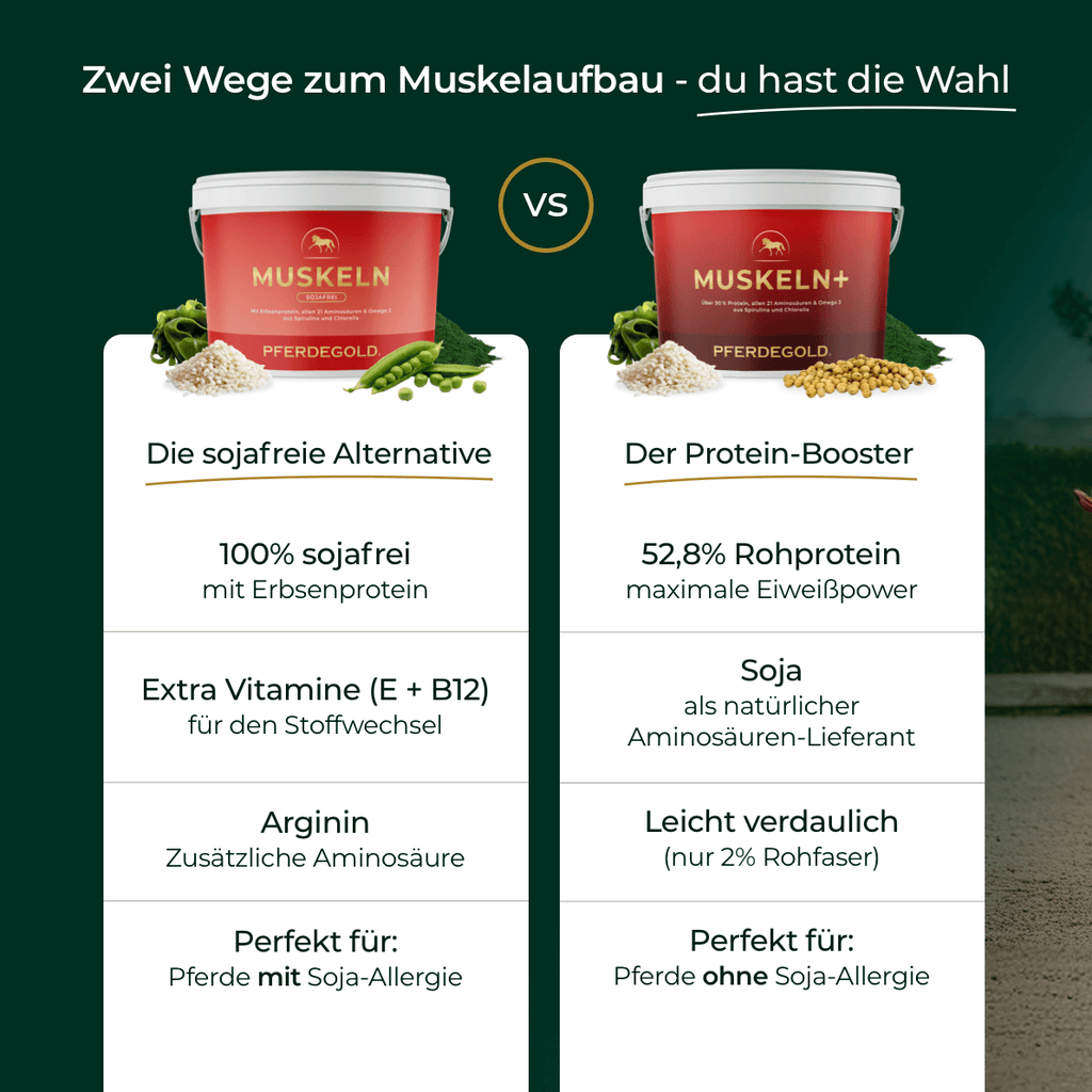 Pferdegold - Muskeln 2.0 Sojafrei