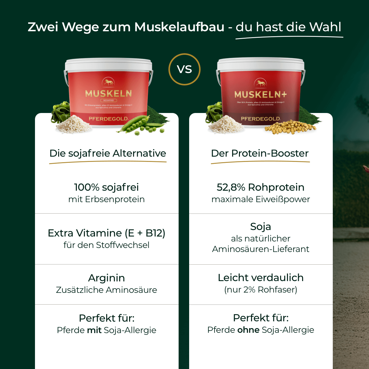 Pferdegold - Muskeln 2.0 Sojafrei