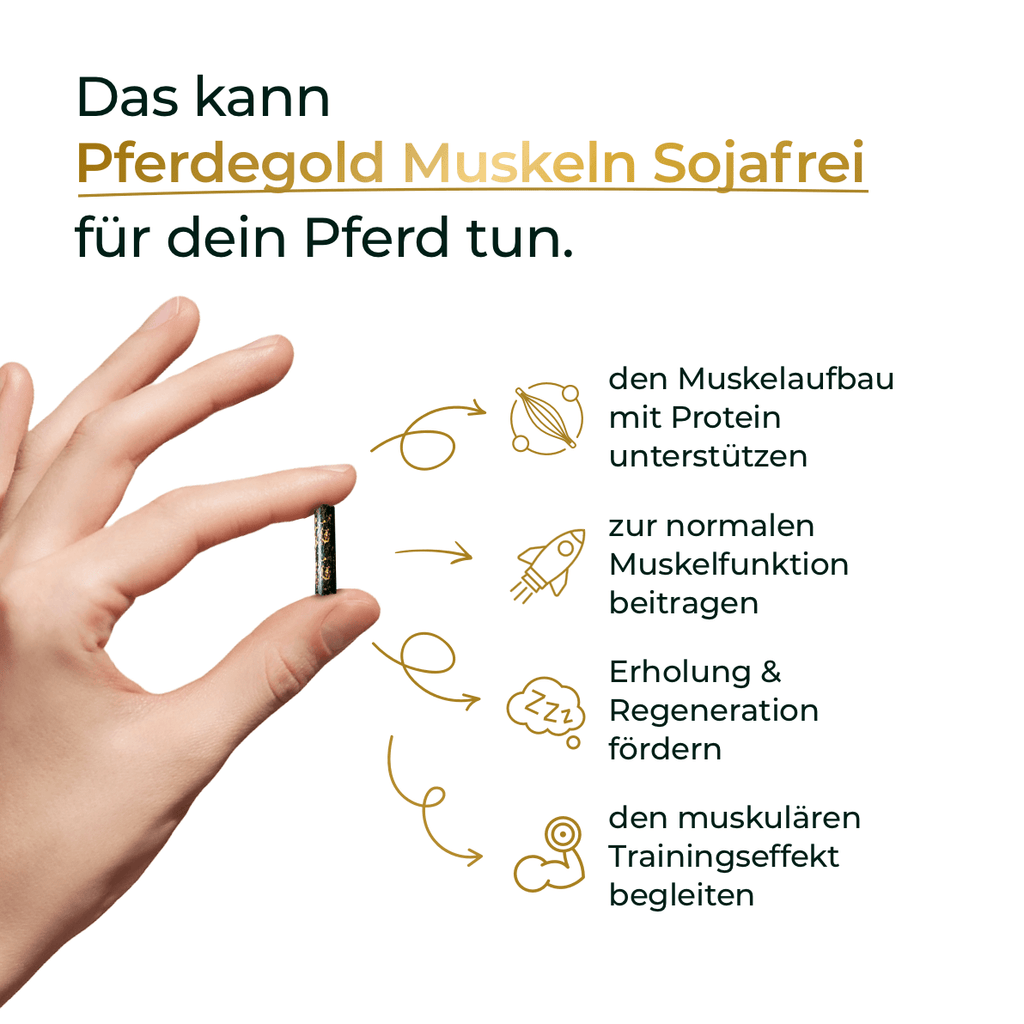 Pferdegold - Muskeln 2.0 Sojafrei