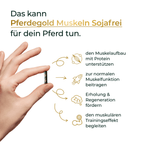 Pferdegold - Muskeln 2.0 Sojafrei