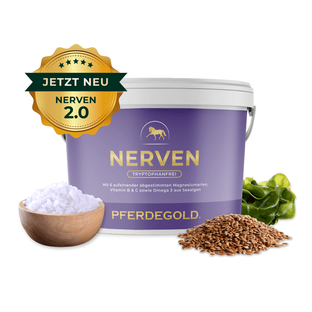 Pferdegold - Nerven 2.0