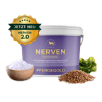 Pferdegold - Nerven 2.0