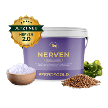 Pferdegold - Nerven 2.0