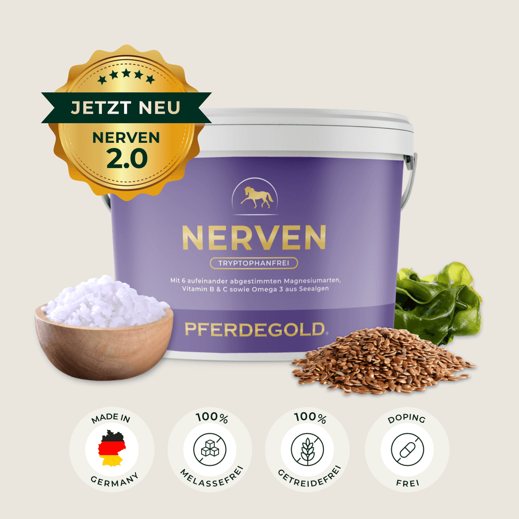 Pferdegold - Nerven 2.0