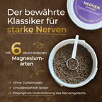 Pferdegold - Nerven 2.0