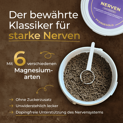 Pferdegold - Nerven 2.0