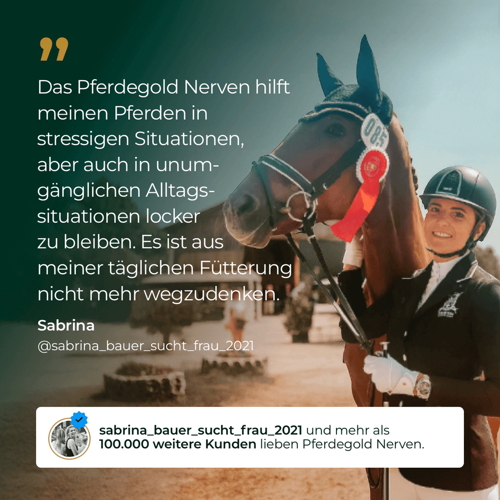 Pferdegold - Nerven 2.0