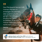 Pferdegold - Nerven 2.0