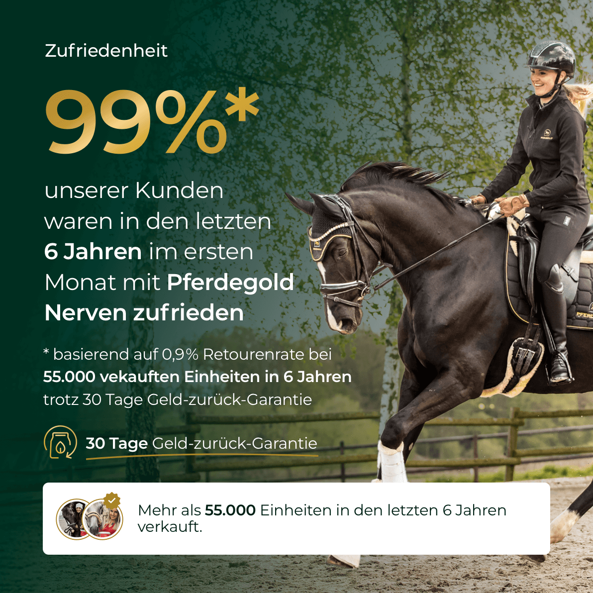 Pferdegold - Nerven 2.0