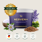 Pferdegold - Nerven+ mit Tryptophan