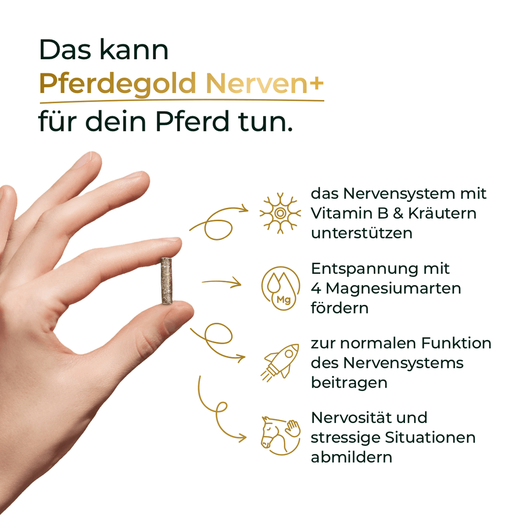 Pferdegold - Nerven+ mit Tryptophan