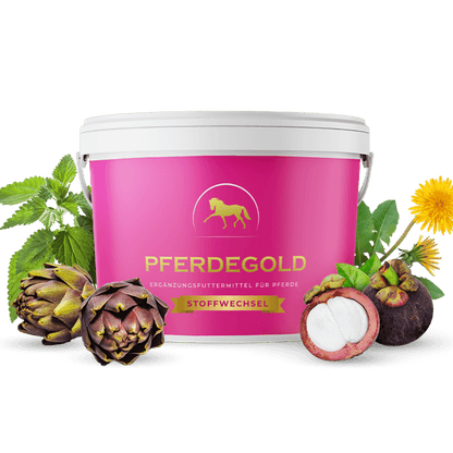 Pferdegold - Stoffwechsel