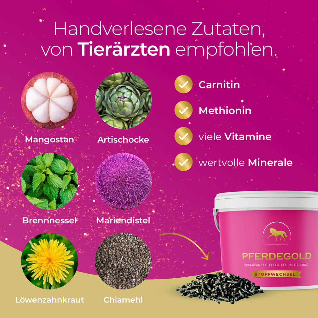 Pferdegold - Stoffwechsel