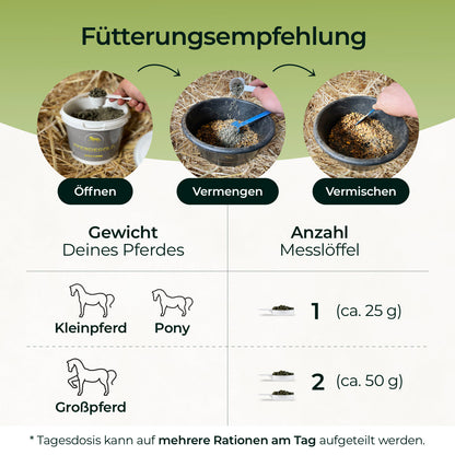 Pferdegold - Zink 1,5kg