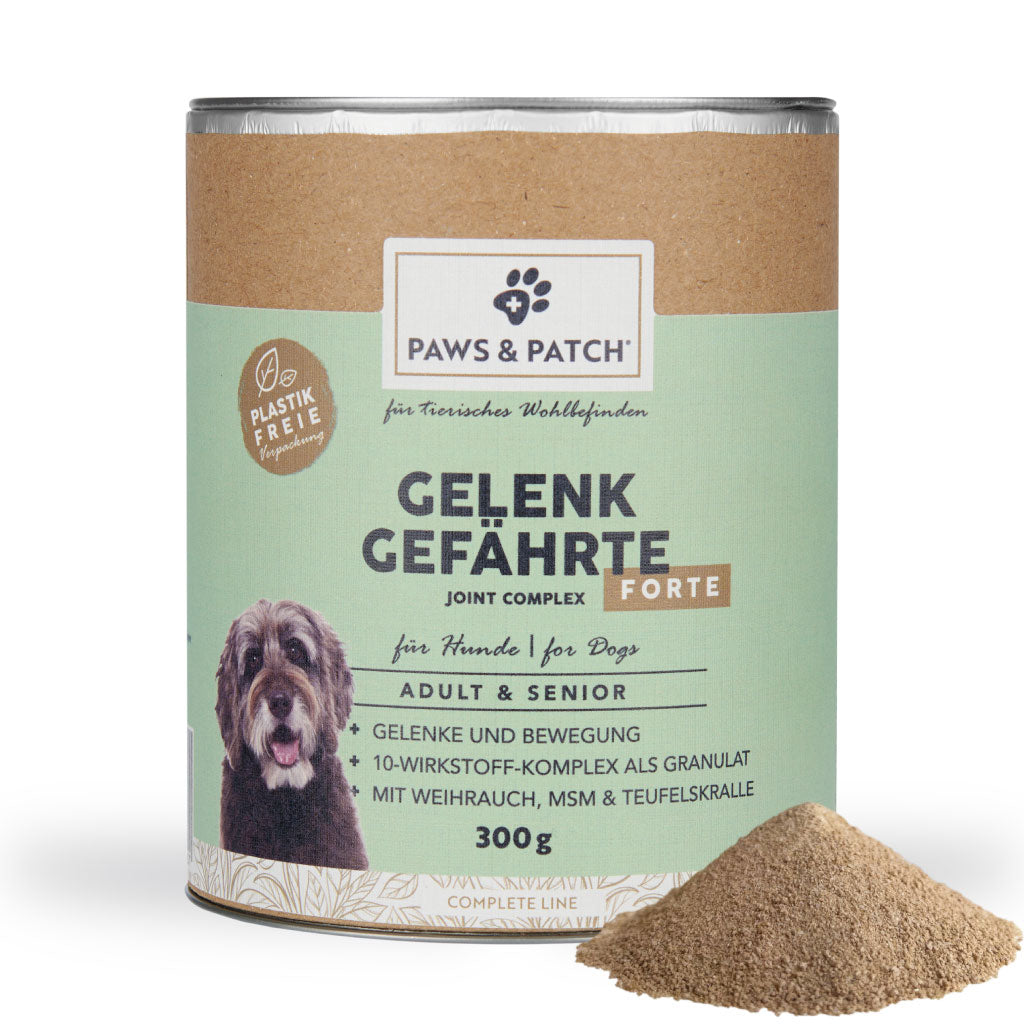 PAWS&PATCH - GELENK GEFÄHRTE FORTE für Hunde Adult & Senior