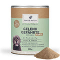 PAWS&PATCH - GELENK GEFÄHRTE FORTE für Hunde Adult & Senior