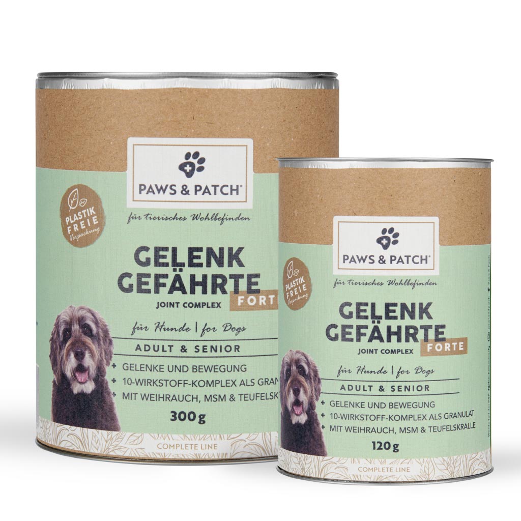 PAWS&PATCH - GELENK GEFÄHRTE FORTE für Hunde Adult & Senior