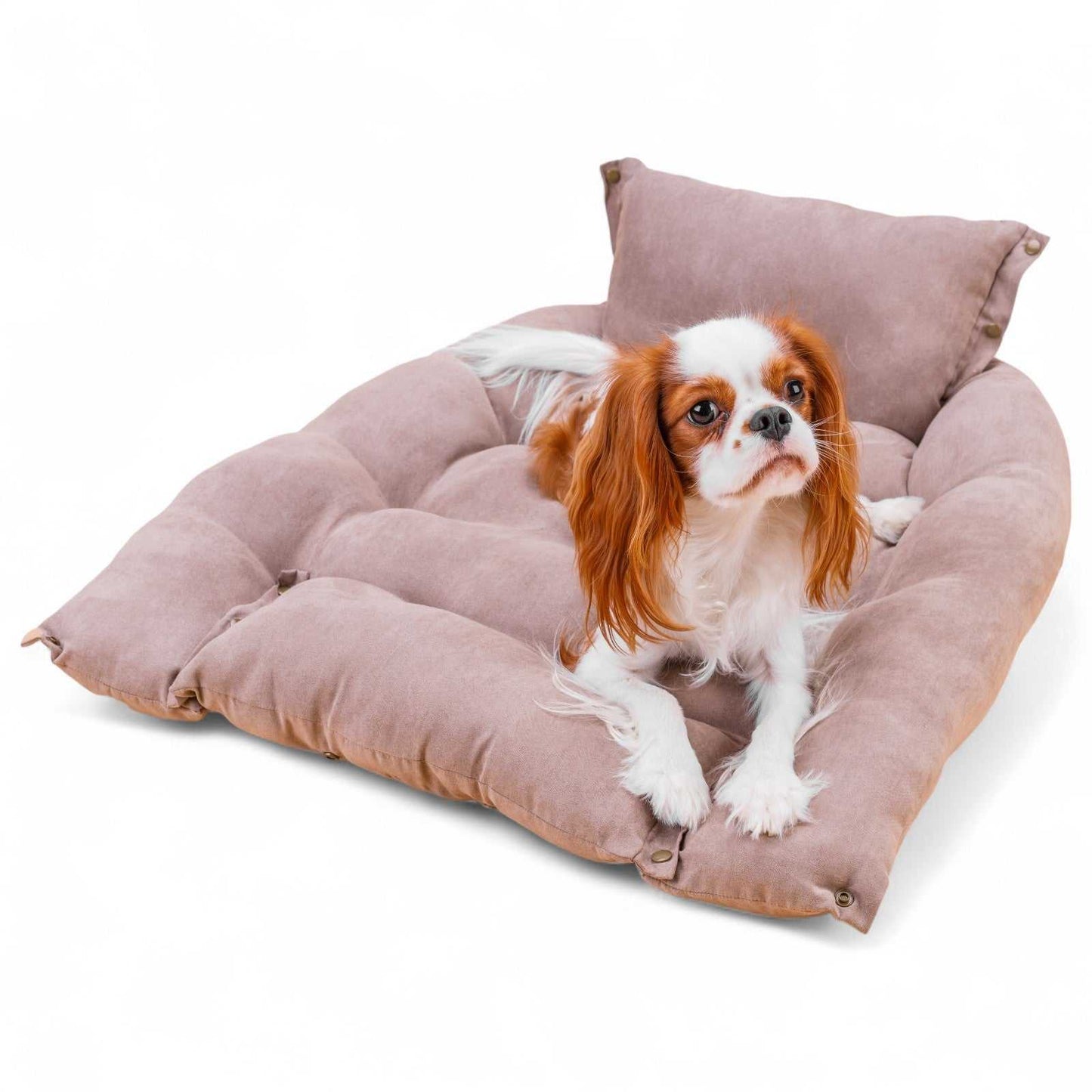waschbare 3in1 Hundematte