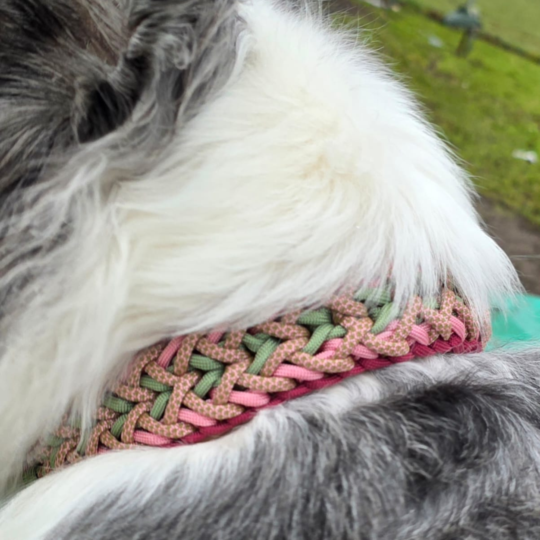 Pfotenlieblinge - Handgemachtes Paracord-Hundehalsband „Rosé Sage“