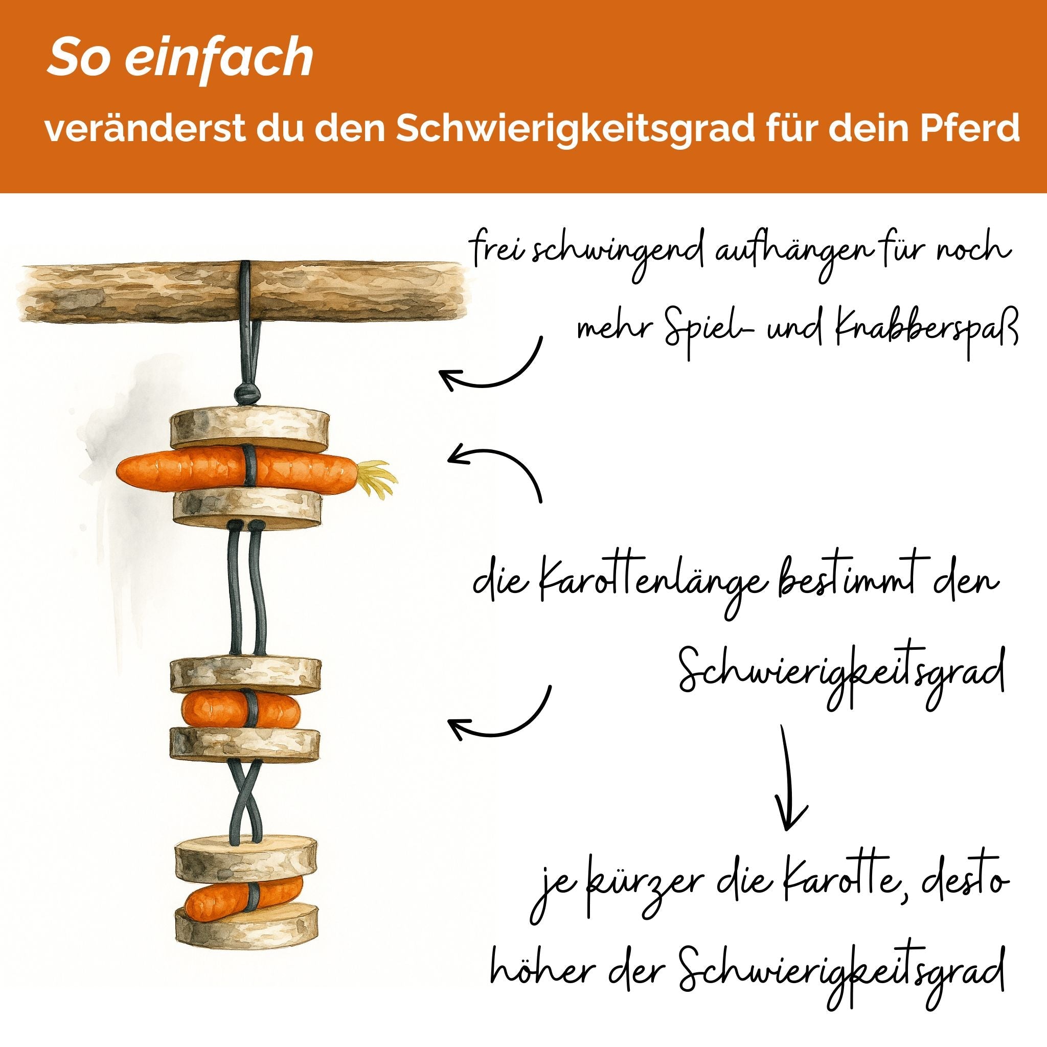 Pferdespielzeug Möhren-Tarzan – Spielzeug für Pferde gegen Langeweile – Pferdebeschäftigung