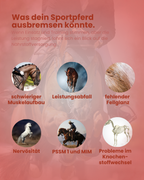 Krähenbusch® - Mineralfutter Sport